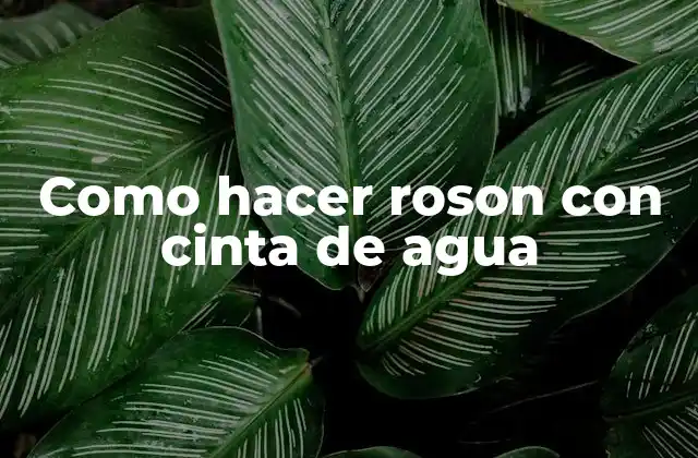 Como Hacer Roson con Cinta de Agua