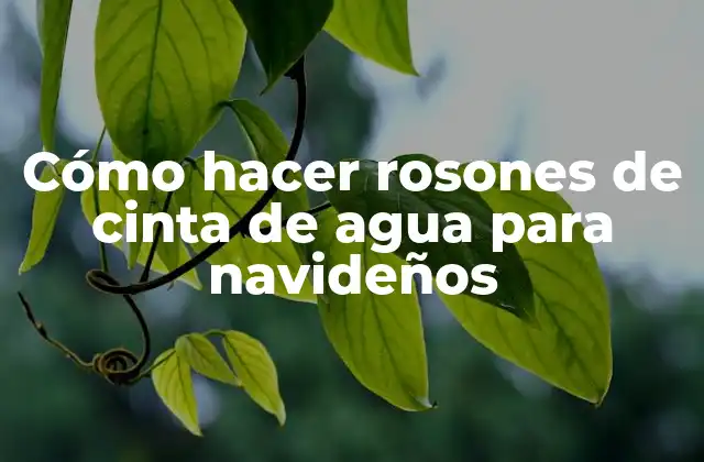Cómo Hacer Rosones de Cinta de Agua para Navideños 2 Cómo hacer rosones de cinta de agua para navideños
