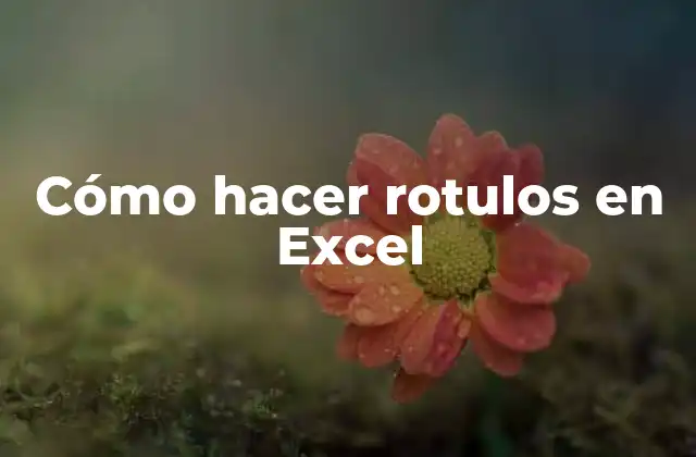 Cómo Hacer Rotulos en Excel 2 Cómo hacer rotulos en Excel
