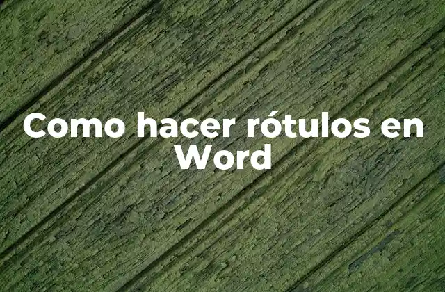Como Hacer Rótulos en Word