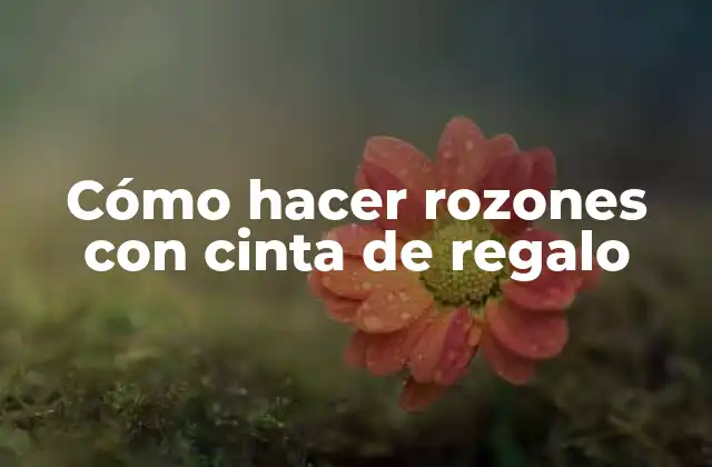 Cómo Hacer Rozones con Cinta de Regalo