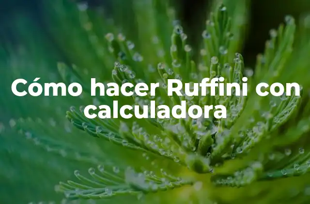 Cómo Hacer Ruffini con Calculadora