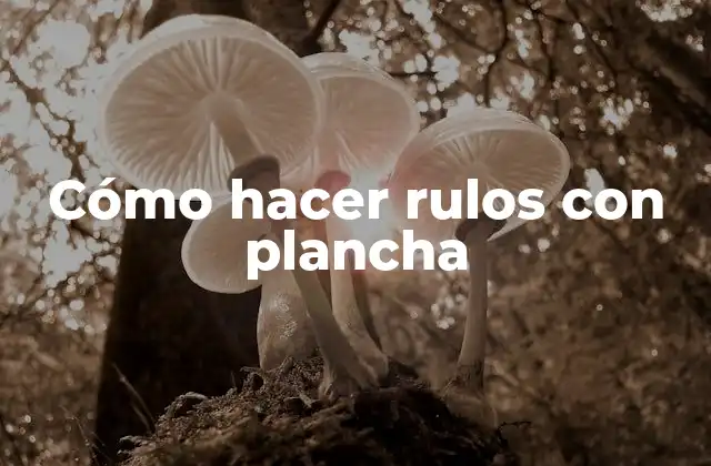 Cómo Hacer Rulos con Plancha