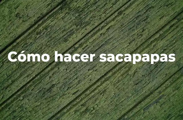 Cómo Hacer Sacapapas