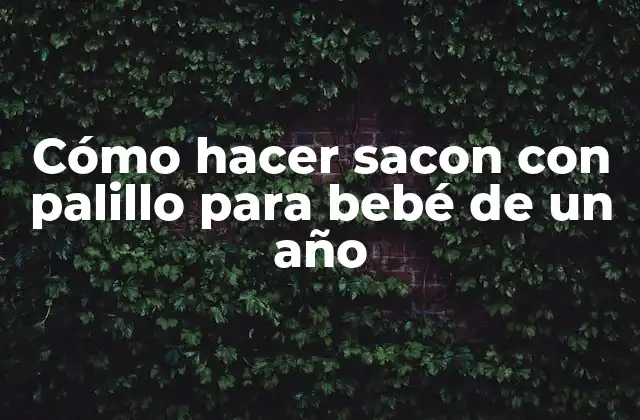 Cómo Hacer Sacon con Palillo para Bebé de un Año 2 Sazon con Palillo para Bebé de un Año