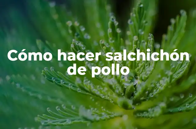 ¿Qué es un salchichón de pollo?
