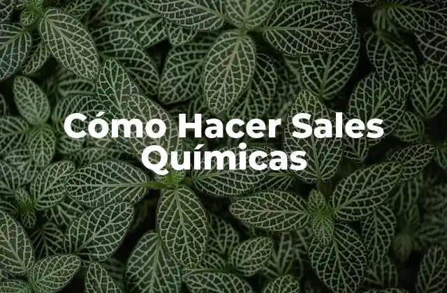 Cómo Hacer Sales Químicas