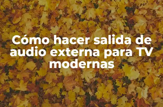 Cómo Hacer Salida de Audio Externa para Tv Modernas