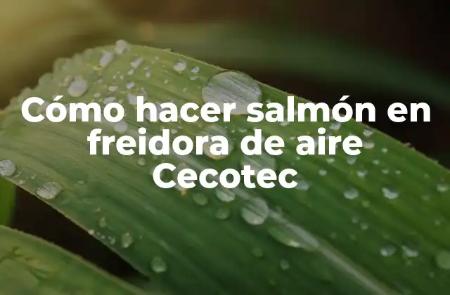 Cómo Hacer Salmón en Freidora de Aire Cecotec