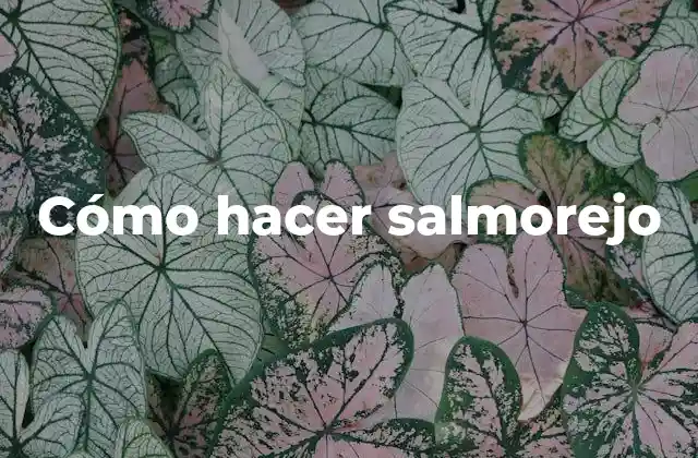 ¿Qué es el salmorejo?