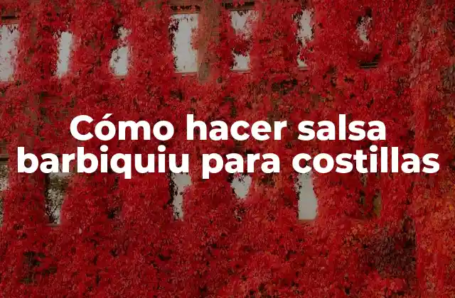 ¿Qué es la salsa barbiquiu y para qué sirve?