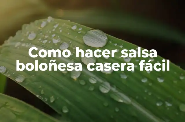 Como Hacer Salsa Boloñesa Casera Fácil