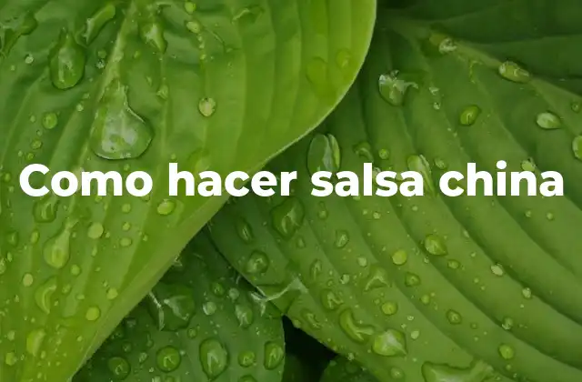 Como Hacer Salsa China