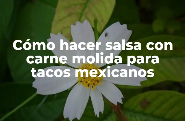 Cómo Hacer Salsa con Carne Molida para Tacos Mexicanos