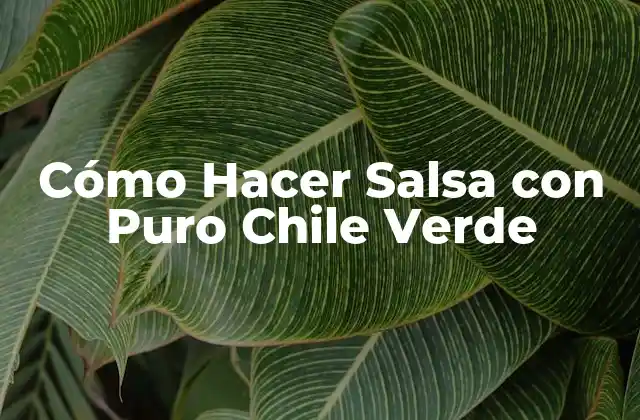 Cómo Hacer Salsa con Puro Chile Verde