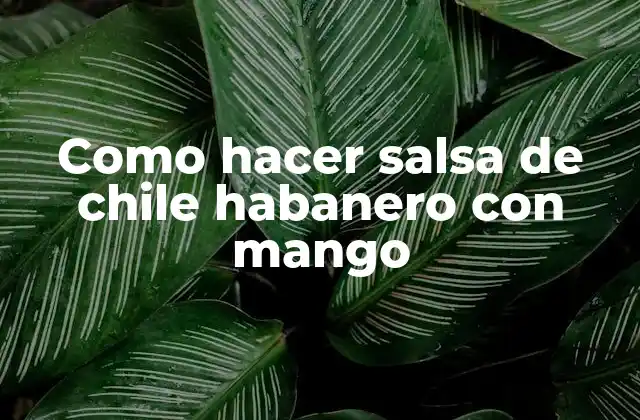Como Hacer Salsa de Chile Habanero con Mango