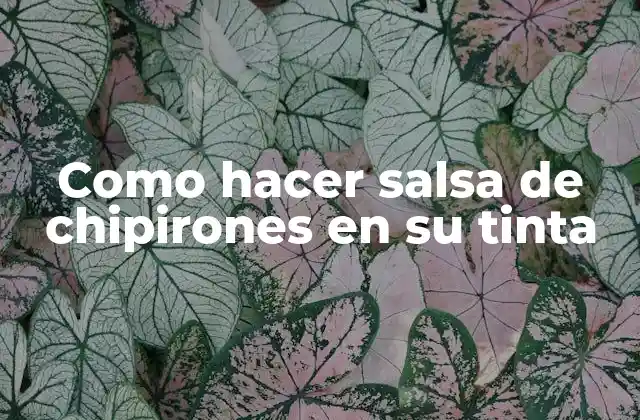 Como Hacer Salsa de Chipirones en Su Tinta