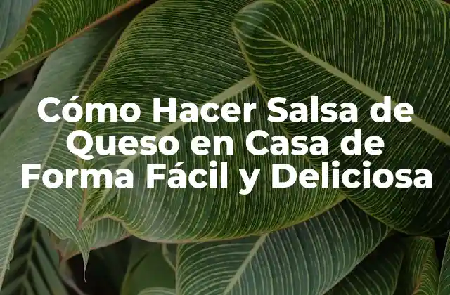 Cómo Hacer Salsa de Queso en Casa de Forma Fácil y Deliciosa