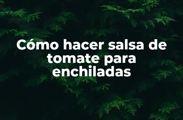 Cómo Hacer Salsa de Tomate para Enchiladas