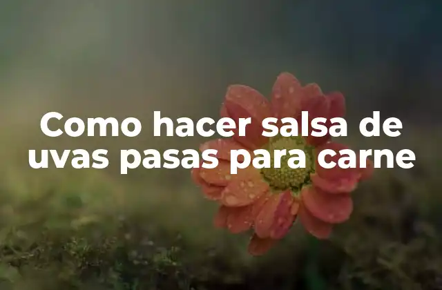 Como Hacer Salsa de Uvas Pasas para Carne