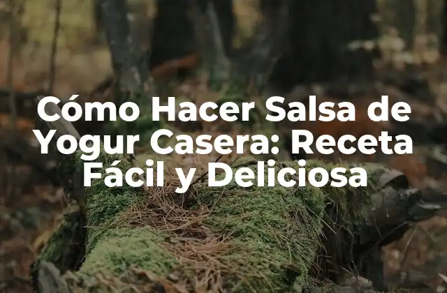 Beneficios de la Salsa de Yogur Casera