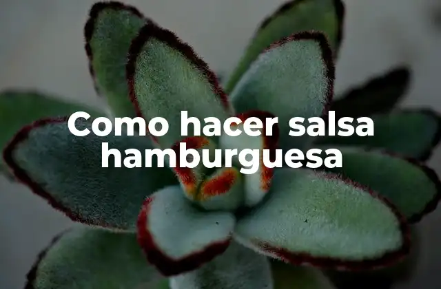¿Qué es la salsa hamburguesa y para qué sirve?