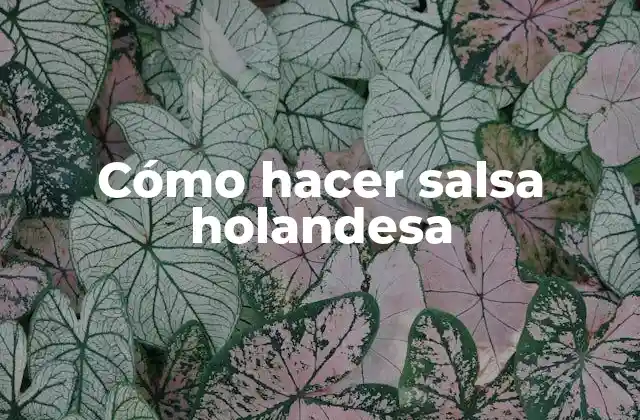 Cómo Hacer Salsa Holandesa