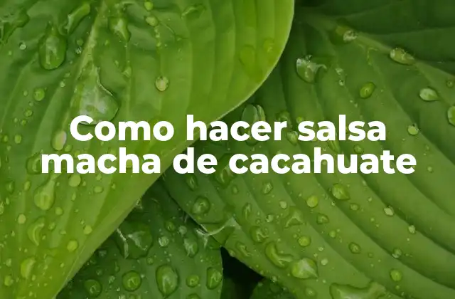 ¿Qué es la salsa macha de cacahuate y para qué sirve?