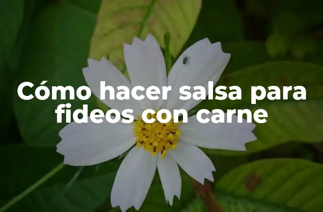 Cómo Hacer Salsa para Fideos con Carne