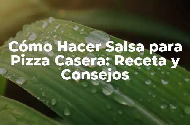 Cómo Hacer Salsa para Pizza Casera: Receta y Consejos
