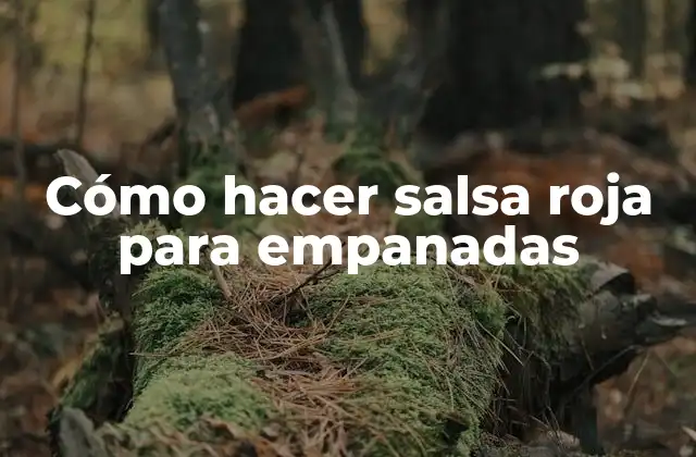 Cómo hacer salsa roja para empanadas