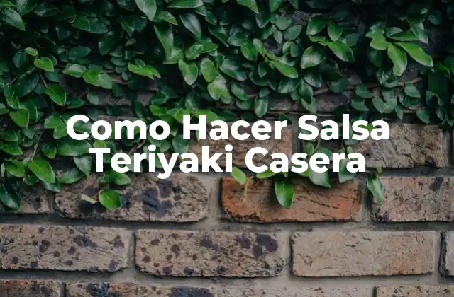 Como Hacer Salsa Teriyaki Casera