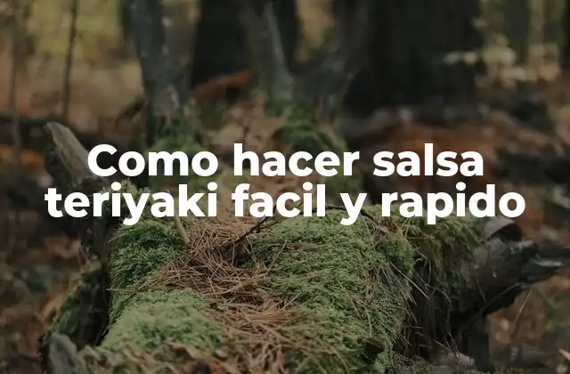 Como Hacer Salsa Teriyaki Facil y Rapido