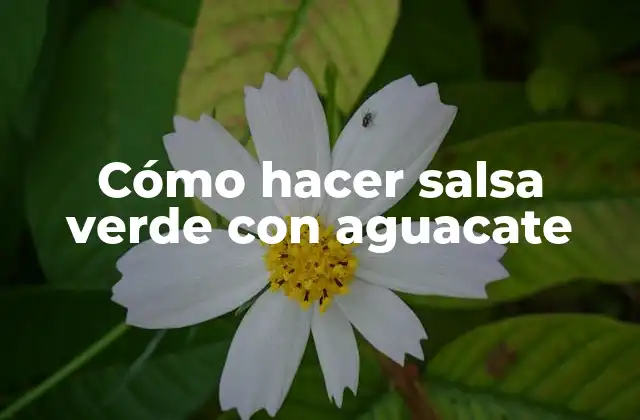 Cómo Hacer Salsa Verde con Aguacate