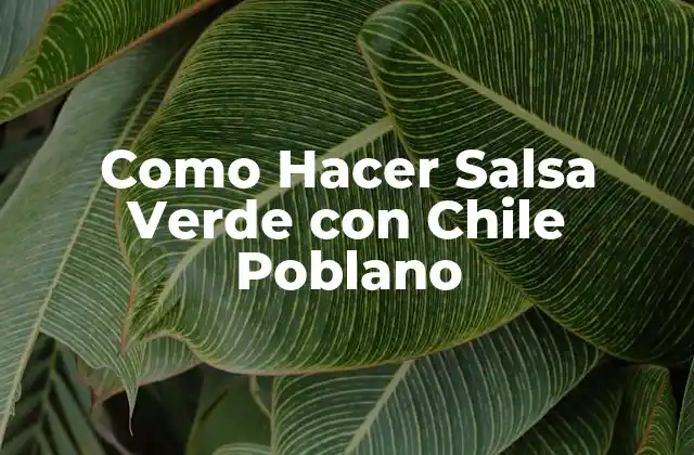 Como Hacer Salsa Verde con Chile Poblano