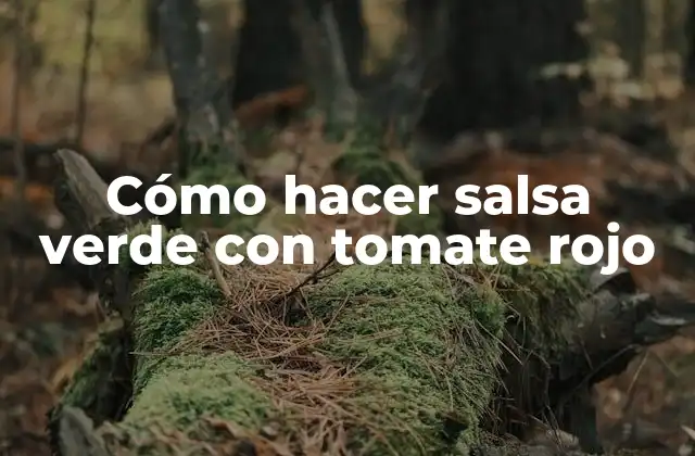 Cómo Hacer Salsa Verde con Tomate Rojo