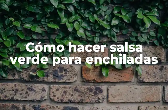 Cómo Hacer Salsa Verde para Enchiladas 2 Cómo hacer salsa verde para enchiladas