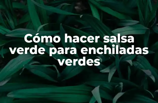 Cómo Hacer Salsa Verde para Enchiladas Verdes