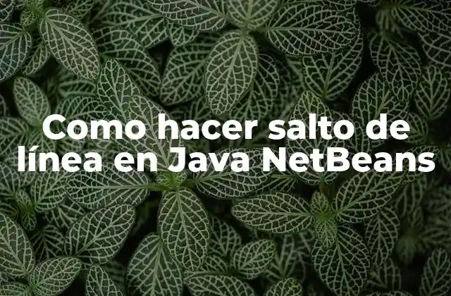Salto de línea en Java NetBeans