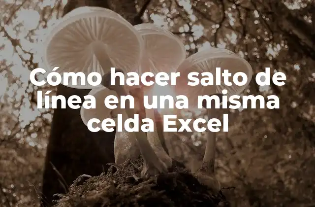 Cómo hacer salto de línea en una misma celda Excel