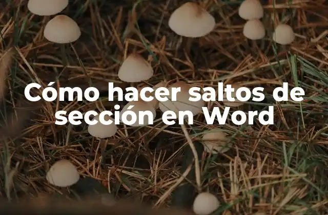 Cómo Hacer Saltos de Sección en Word