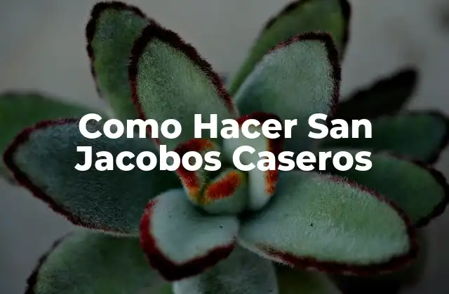 Como Hacer San Jacobos Caseros