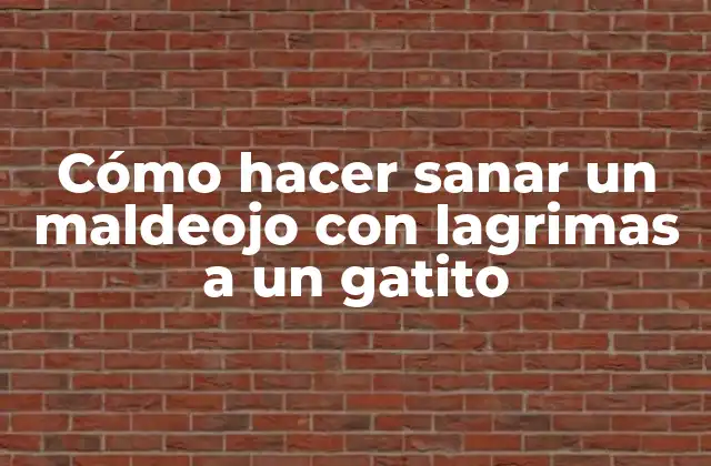 Cómo Hacer Sanar un Maldeojo con Lagrimas a un Gatito