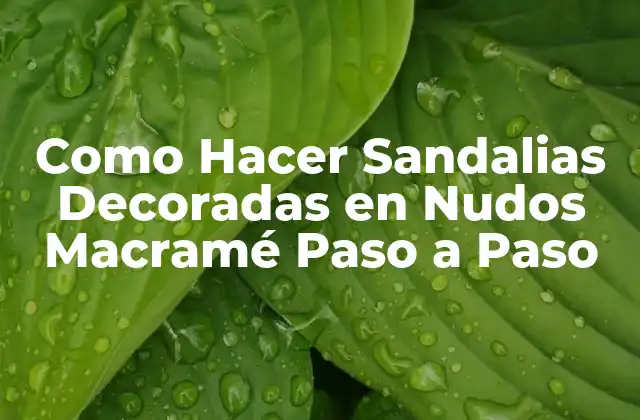 Como Hacer Sandalias Decoradas en Nudos Macramé Paso a Paso