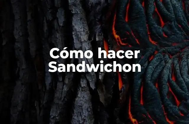 ¿Qué es un Sandwichon?