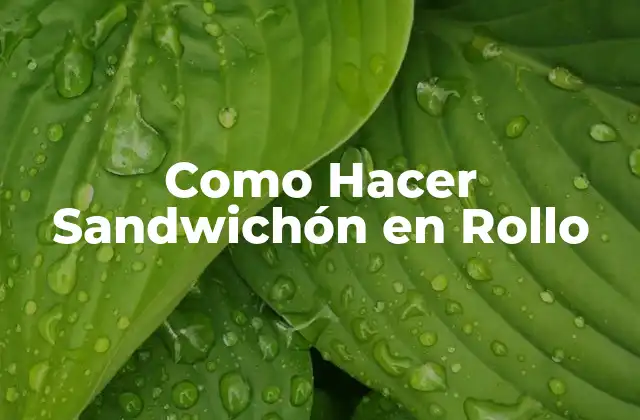 Como Hacer Sandwichón en Rollo