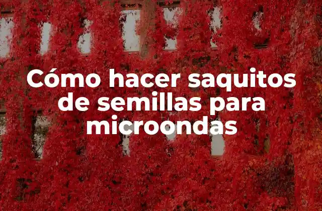 Cómo Hacer Saquitos de Semillas para Microondas