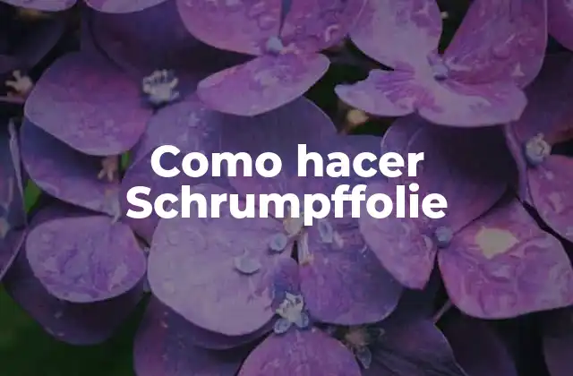 Como Hacer Schrumpffolie 2 ¿Qué es Schrumpffolie y para qué se utiliza?