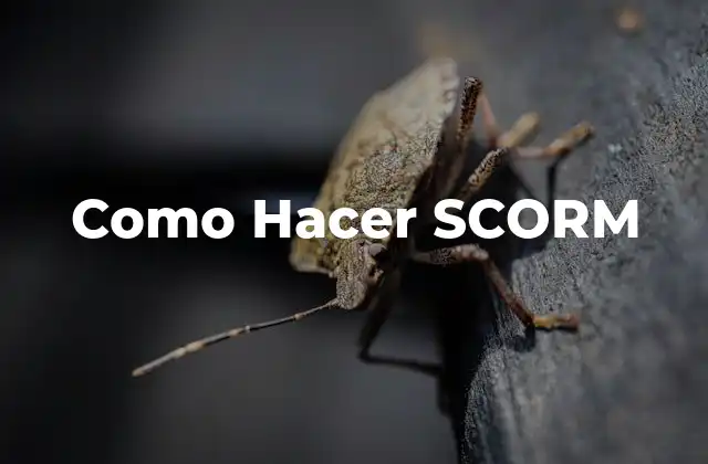Como Hacer Scorm
