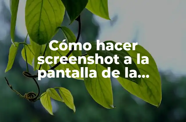 Cómo Hacer Screenshot a la Pantalla de la Computadora